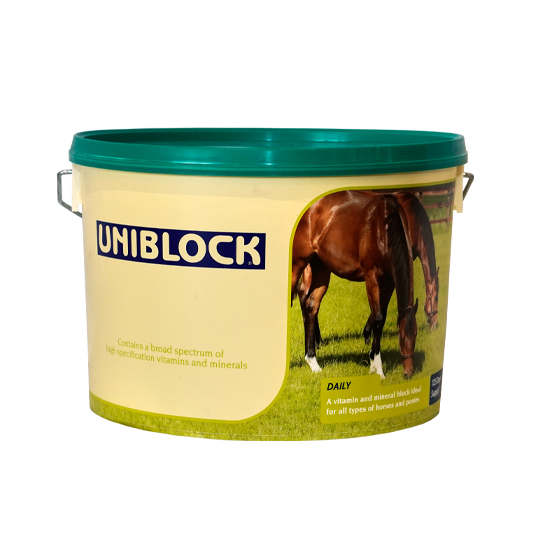 Uniblock Horse