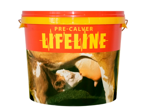 LifeLine Precalver