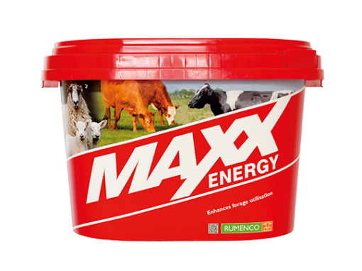 Maxx Energy