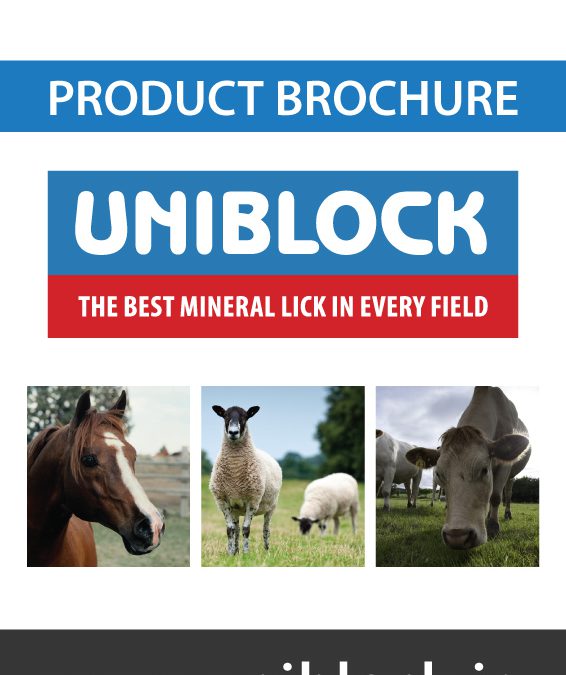 Uniblock brochure.pdf