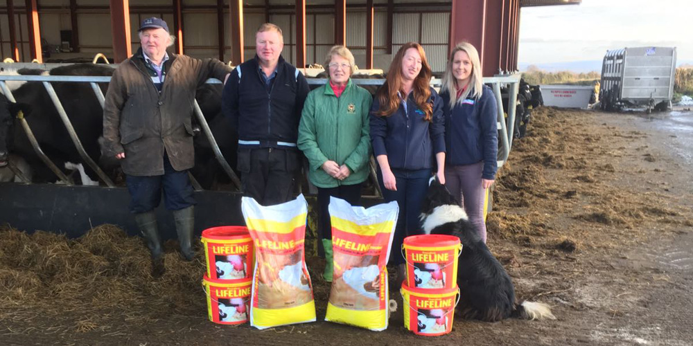 Colostrum quality improves in County Kilkenny herd thanks to pre-calving mineral