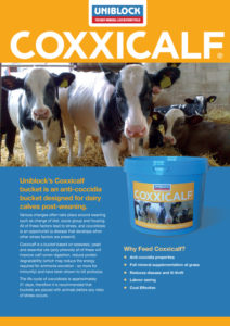 Coxxicalf leaflet