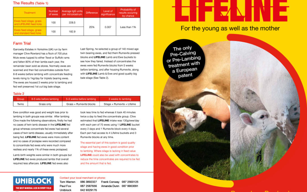 Lifeline Precalver leaflet.pdf