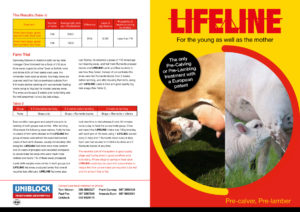Lifeline Precalver leaflet