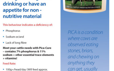 Pica-Cure leaflet.pdf