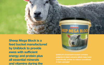 Sheep Mega Block leaflet.pdf