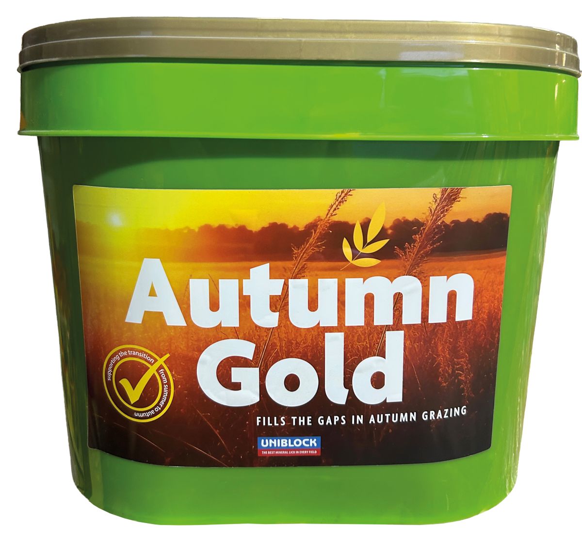 Autumn Gold Bucket