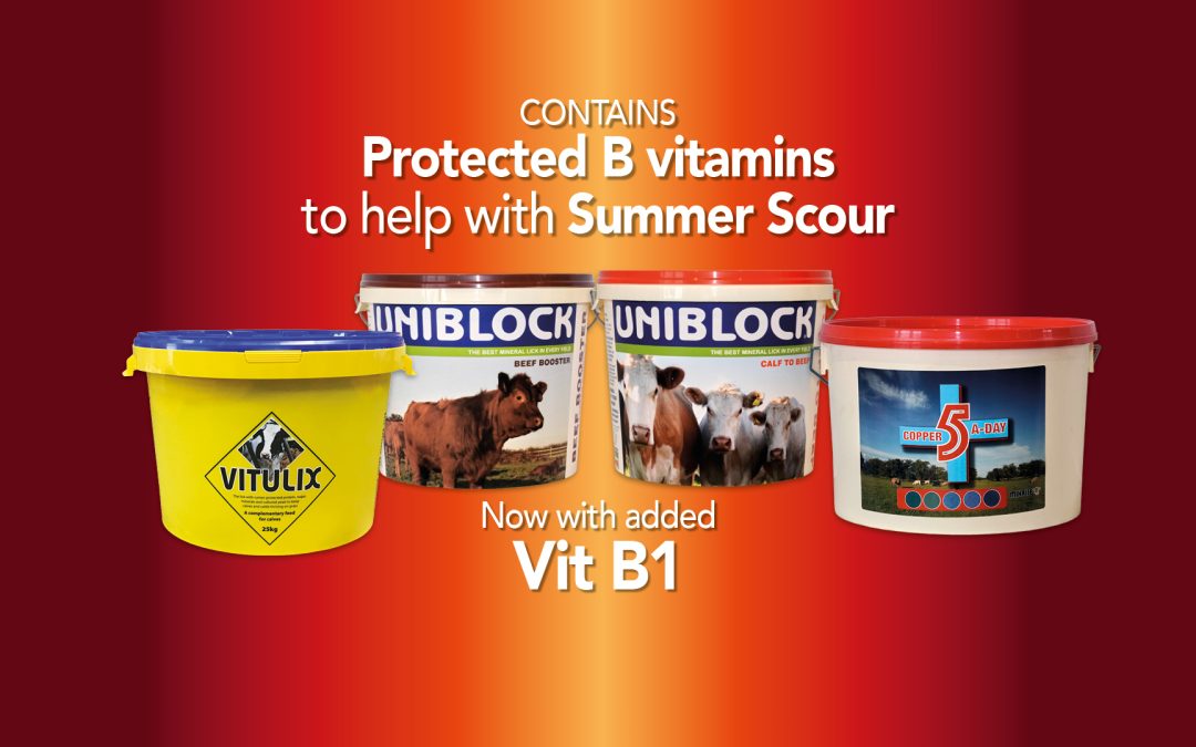 NEW- Now with Vitamin B to help prevent Summer Scour