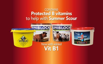 NEW- Now with Vitamin B to help prevent Summer Scour