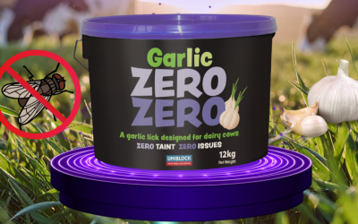Garlic Zero Zero for Dairy cows, performance without compromise